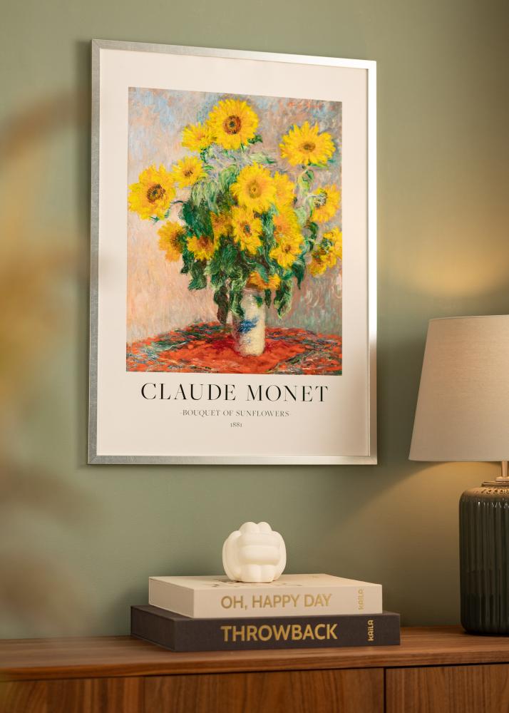 Okvir Minerva Srebrna 30x40 cm - Paspartȗ Bela 20x28 cm