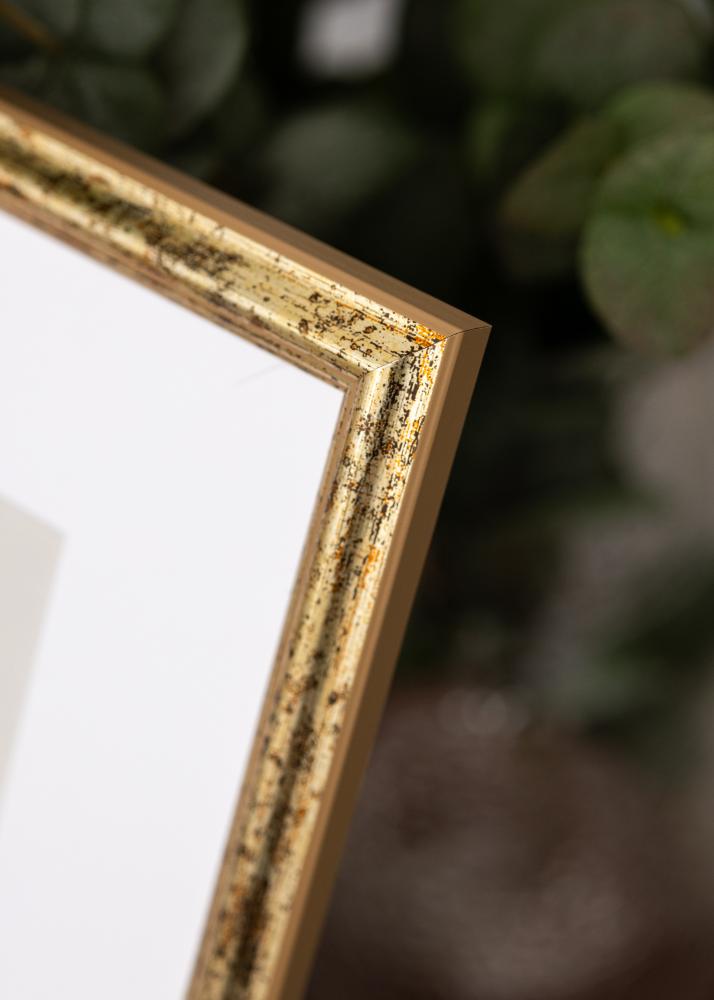 Okvir Claudia Akrilno steklo Srebro 70x100 cm