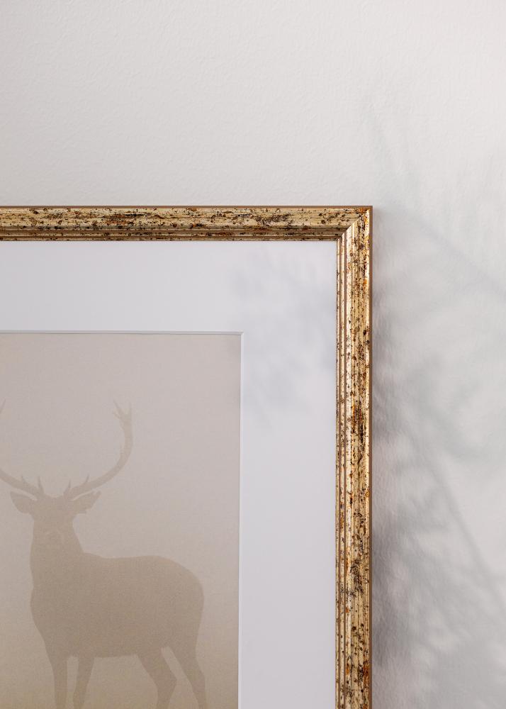 Okvir Claudia Akrilno steklo Srebro 70x100 cm