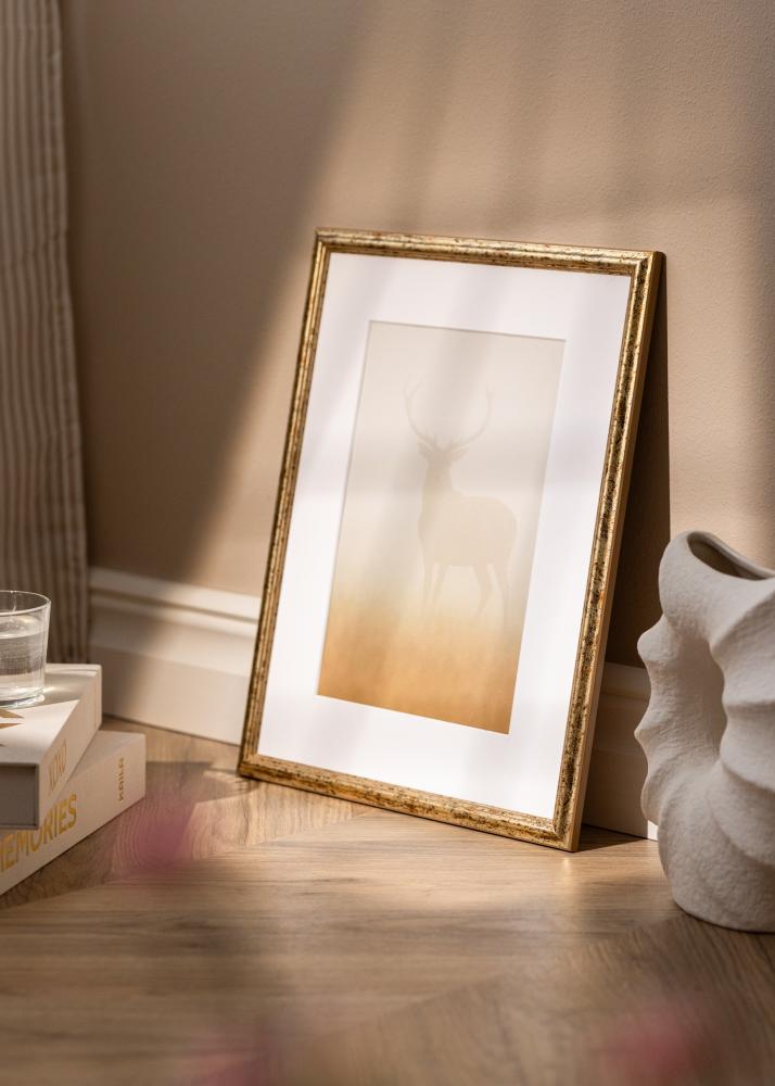 Okvir Claudia Akrilno steklo Srebro 70x100 cm