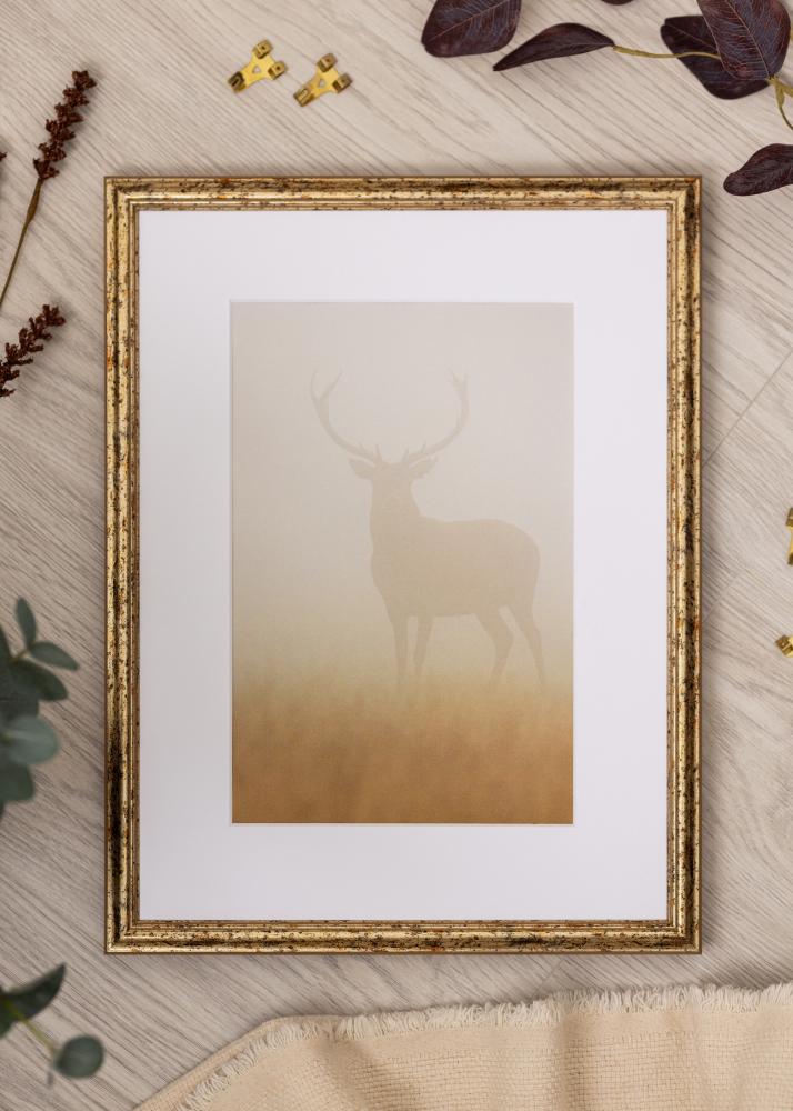 Okvir Claudia Akrilno steklo Srebro 70x100 cm