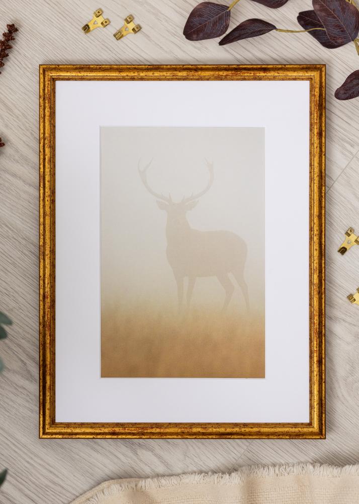 Okvir Claudia Akrylglas Zlata 50x70 cm