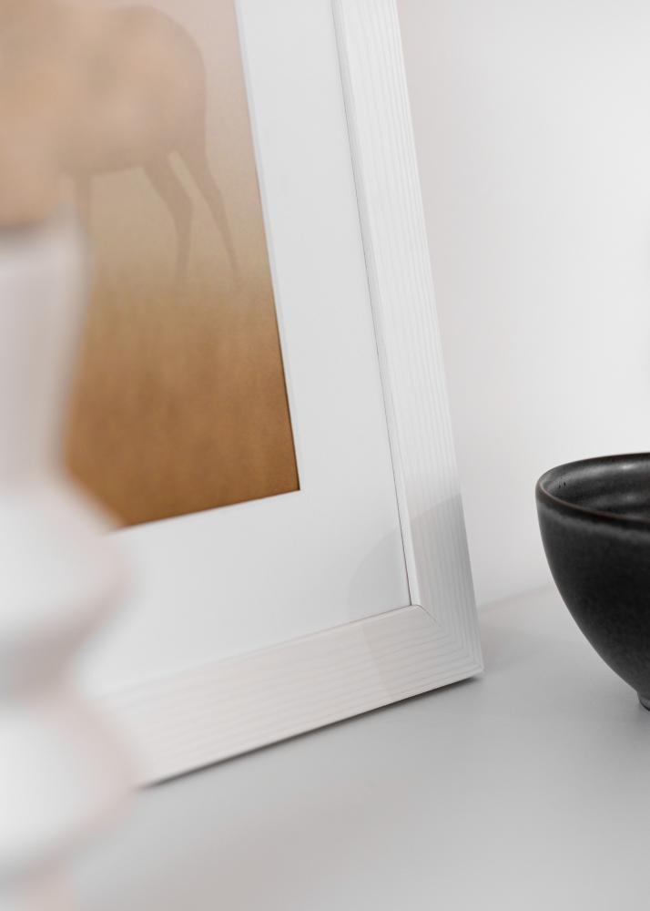 Okvir Sandra Akrylno steklo Bela 50x70 cm