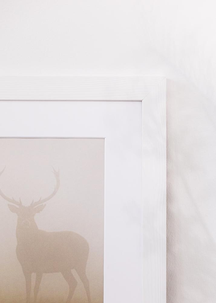 Okvir Sandra Akrylno steklo Bela 50x70 cm