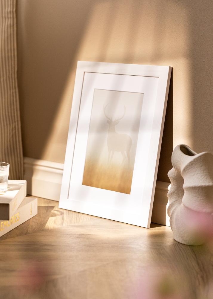 Okvir Sandra Akrylno steklo Bela 50x70 cm