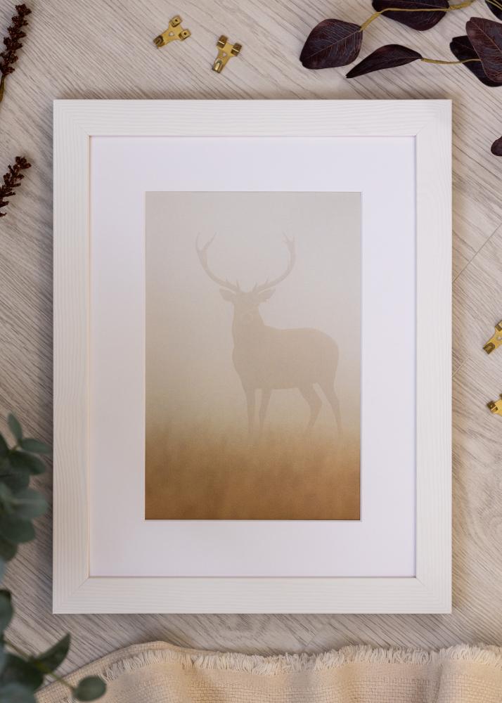 Okvir Sandra Akrylno steklo Bela 50x70 cm