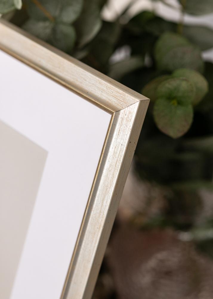 Okvir Marisa Akrilno steklo Srebrna 42x59,4 cm (A2)