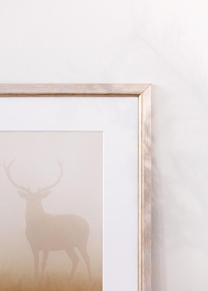 Okvir Marisa Akrilno steklo Srebrna 42x59,4 cm (A2)