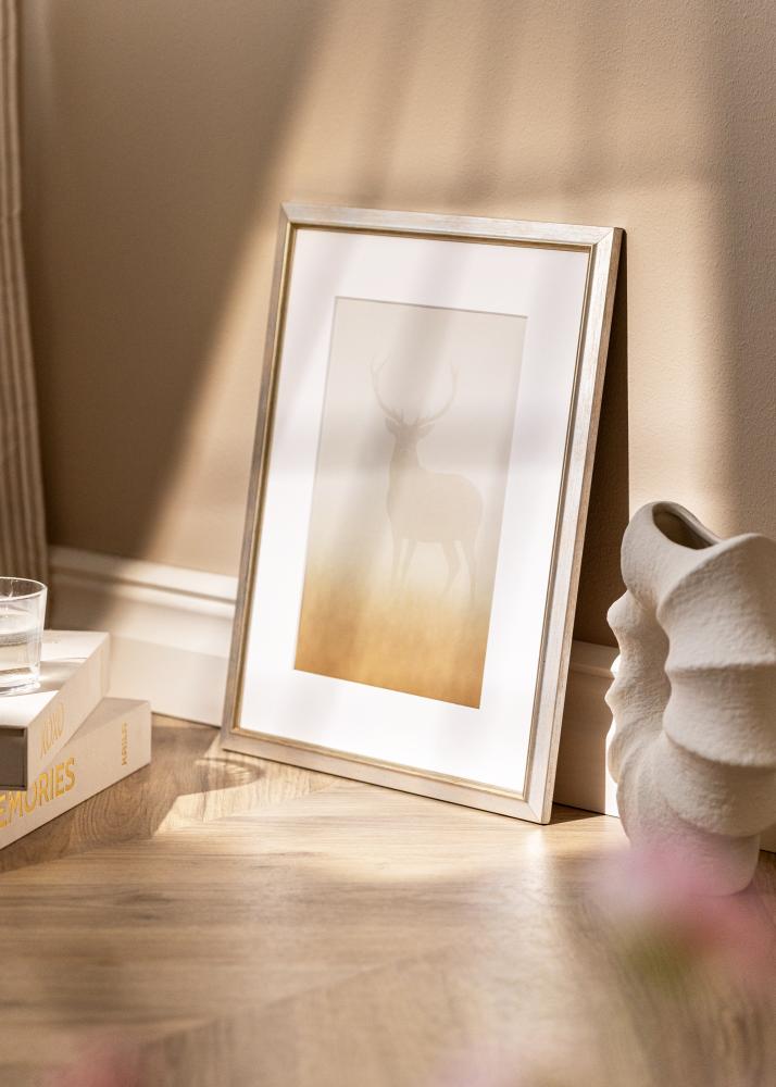 Okvir Marisa Akrilno steklo Srebrna 42x59,4 cm (A2)