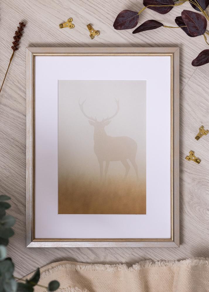 Okvir Marisa Akrilno steklo Srebrna 42x59,4 cm (A2)