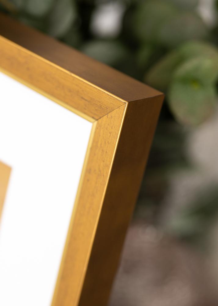 Okvir Brema Akrilno steklo Zlato 21x29,7 cm (A4)