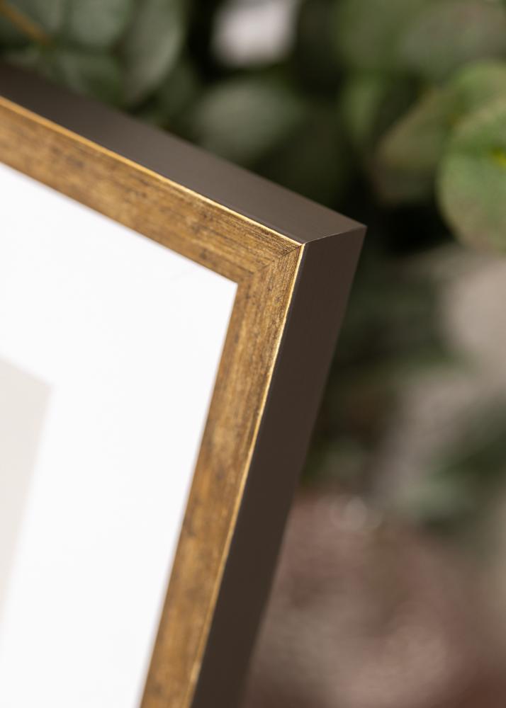 Okvir Dune Akrylglas Zlata 40x50 cm