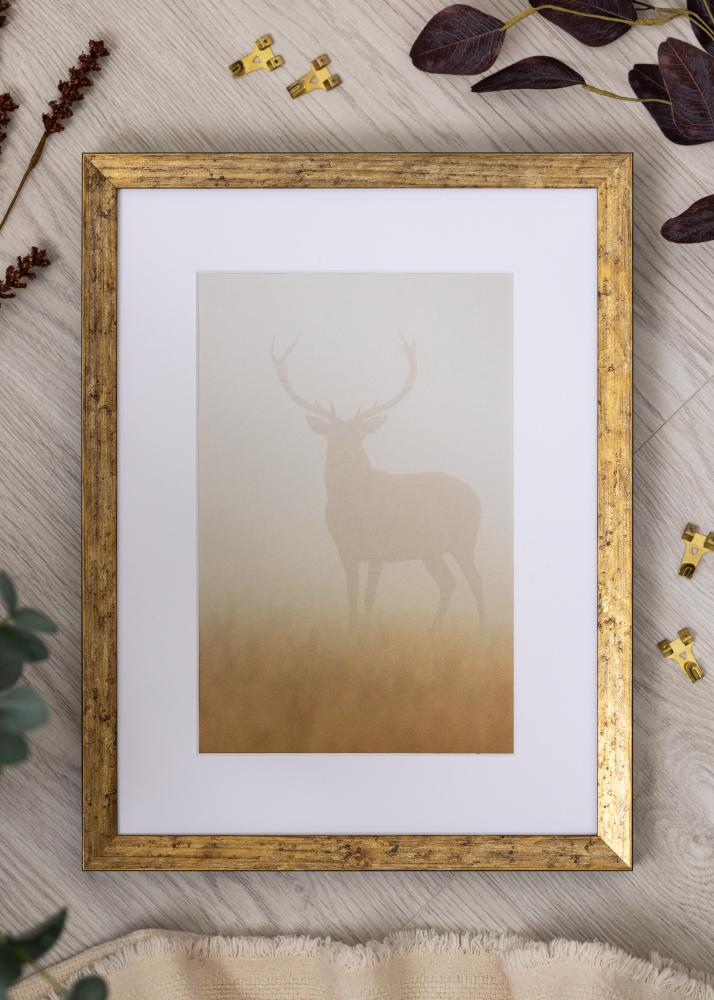 Okvir Dune Akrylglas Zlata 40x50 cm