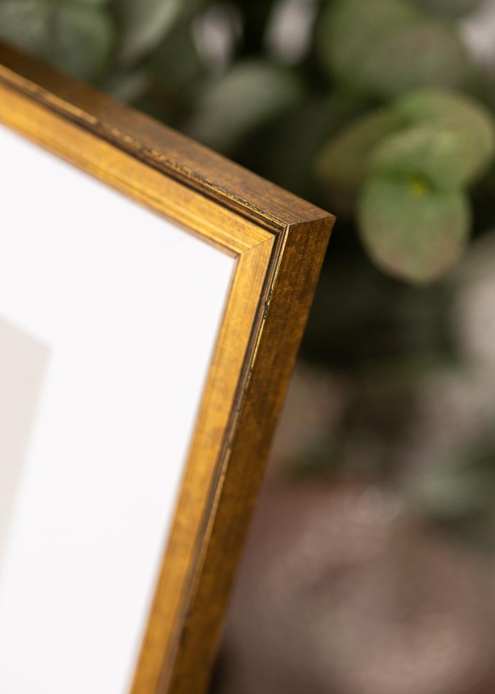 Okvir Ringa Akrilno steklo Zlato 59,4x84,1 cm (A1)