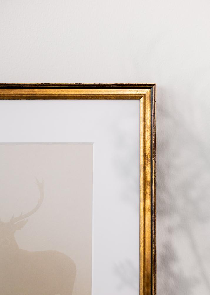 Okvir Ringa Akrilno steklo Zlato 59,4x84,1 cm (A1)