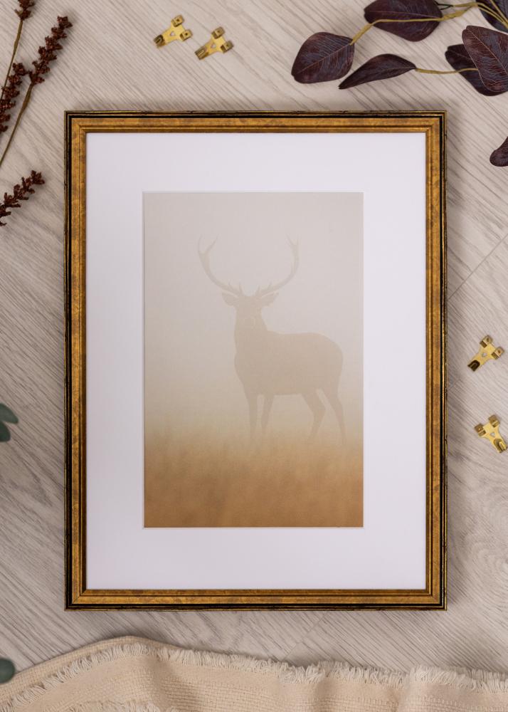 Okvir Ringa Akrilno steklo Zlato 59,4x84,1 cm (A1)