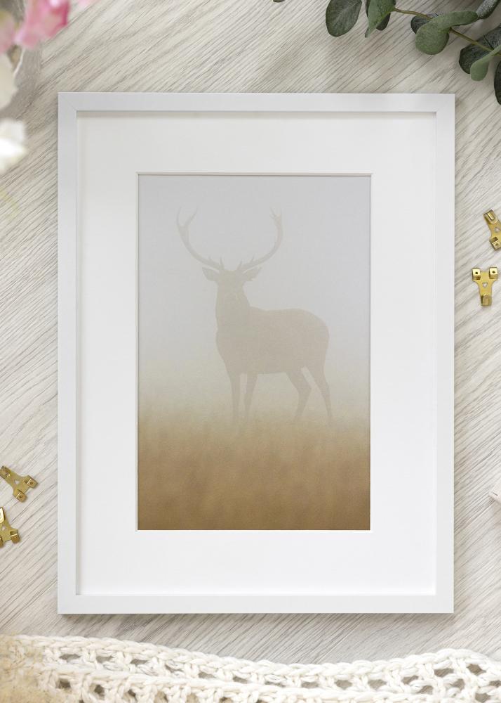 Okvir Trendy Akrilno steklo Bela 21x29,7 cm (A4)