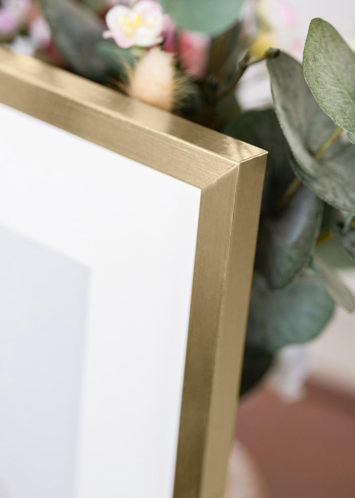 Okvir Trendy Akrilno steklo Zlata 21x29,7 cm (A4)