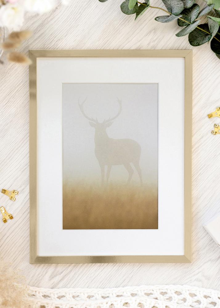 Okvir Trendy Akrilno steklo Zlata 21x29,7 cm (A4)