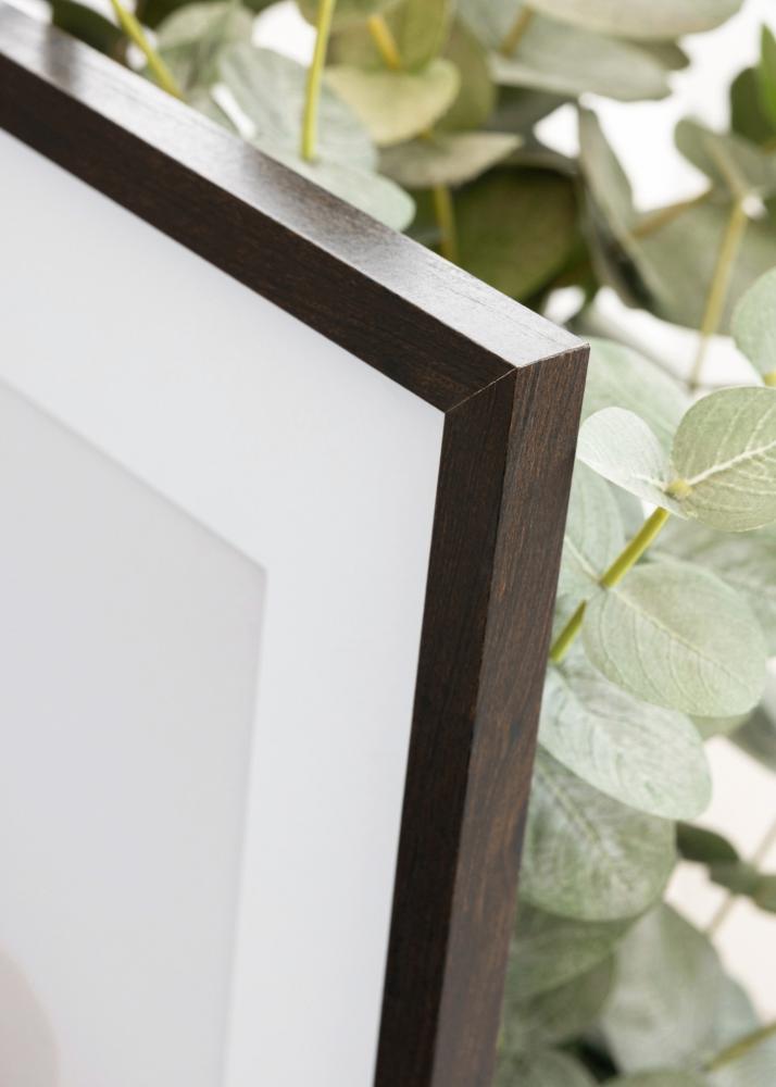 Okvir Trendy Akrilno steklo Oreh 50x50 cm