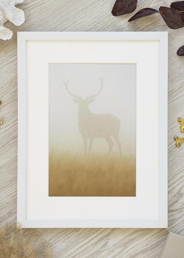 Okvir Beli Širok 42 x 59,4 cm (A2)