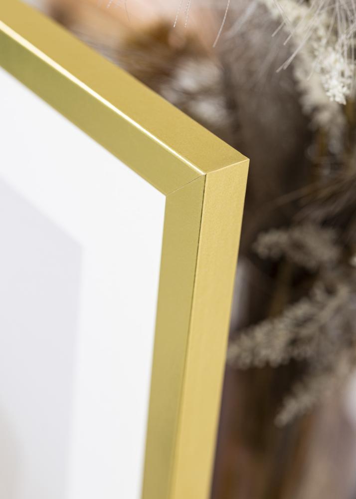 Okvir Zlati Širok 70 x 100 cm