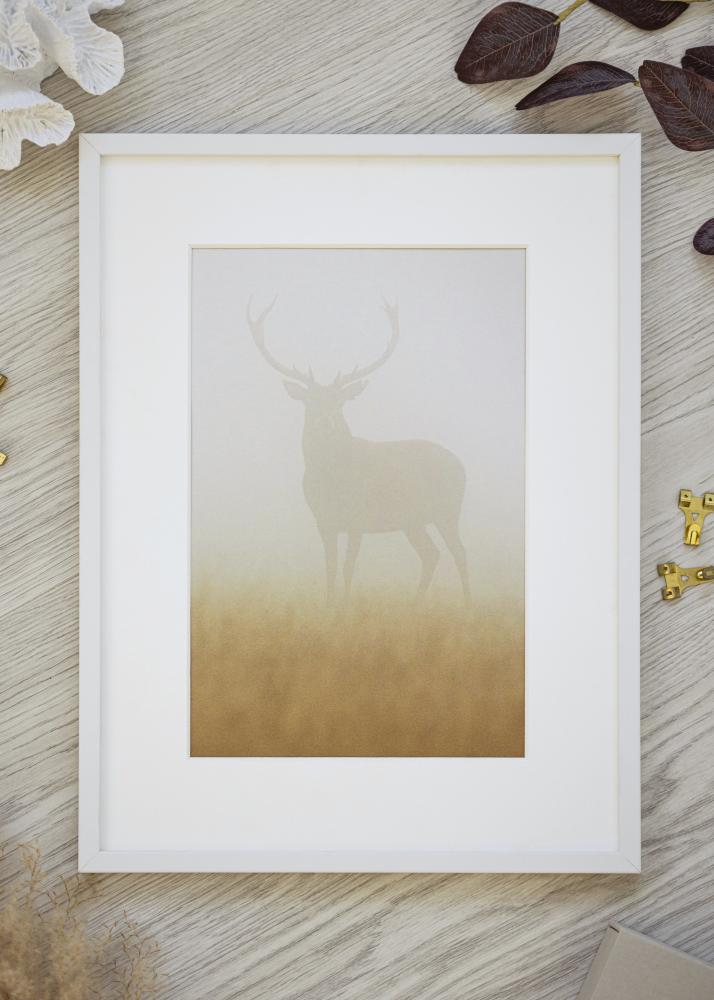 Okvir Beli Ozek 30 x 40 cm