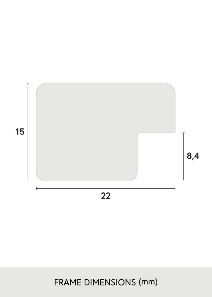 Okvir Uppsala Srebrna 50x50 cm