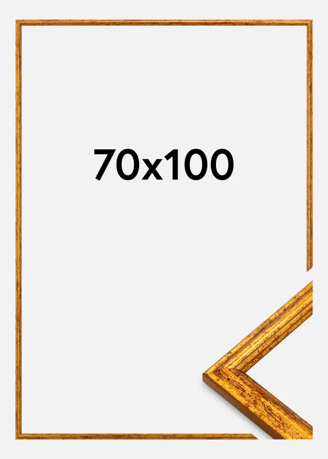Okvir Claudia Akrylglas Zlata 70x100 cm