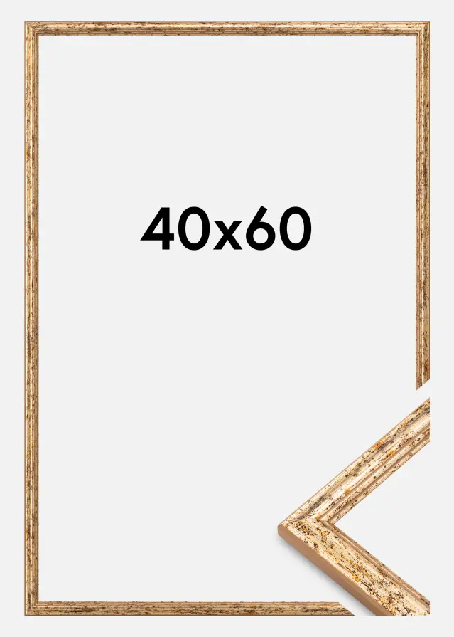 Okvir Claudia Akrilno steklo Srebrna 40x60 cm