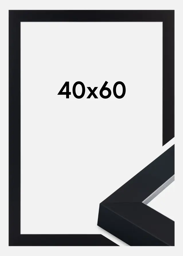 Okvir Sussex Akrilno steklo Črna/Srebrna 40x60 cm