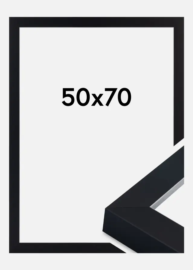 Okvir Sussex Akrilno steklo Črna/Srebrna 50x70 cm