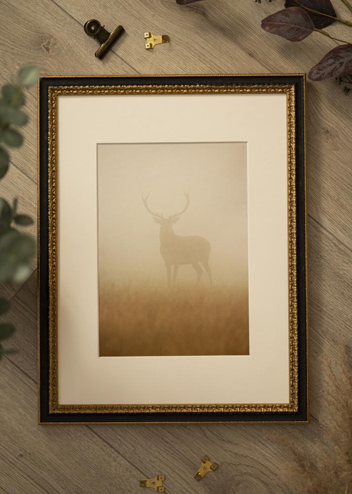 Okvir Drottningholm Zlata II - Poljubna velikost