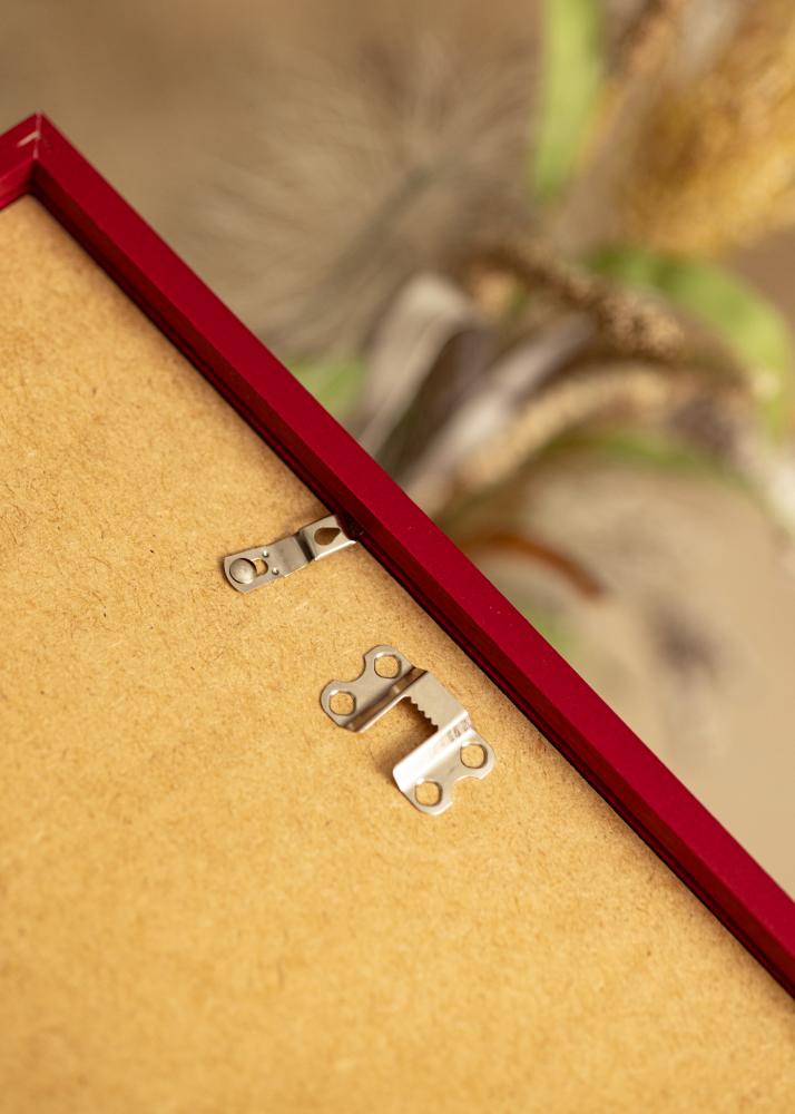 Colorful Akrilno steklo Rdeča 29,7x42 cm (A3)