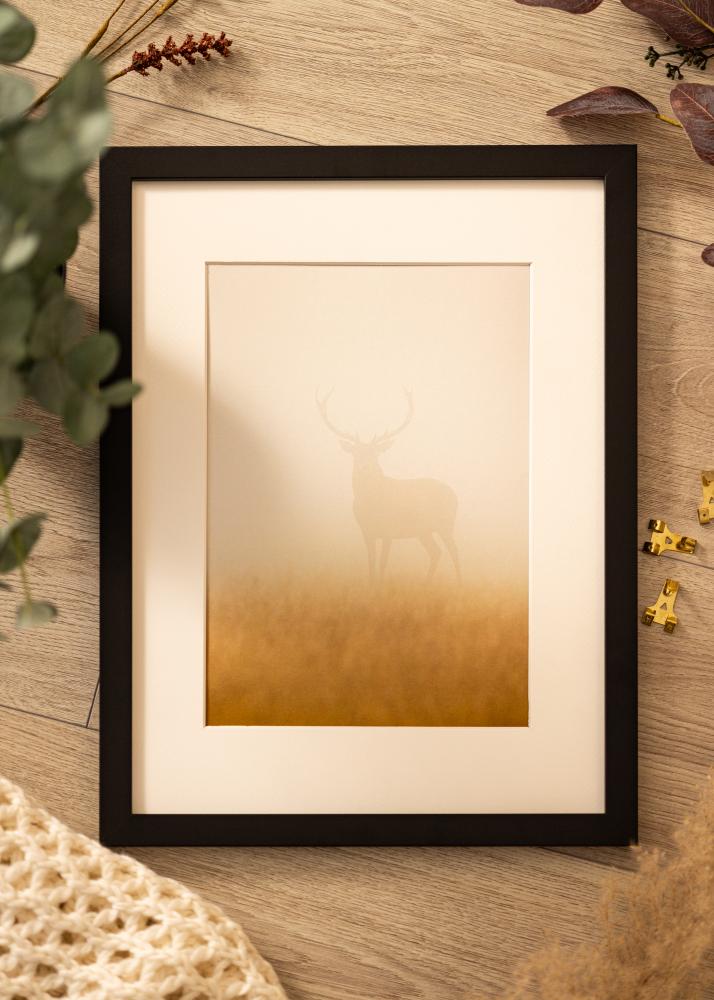 Okvir Deco Akrilno steklo Črna 40x50 cm