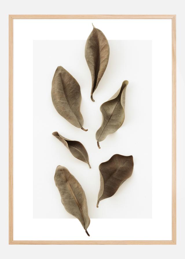 Dried Leaves Poster