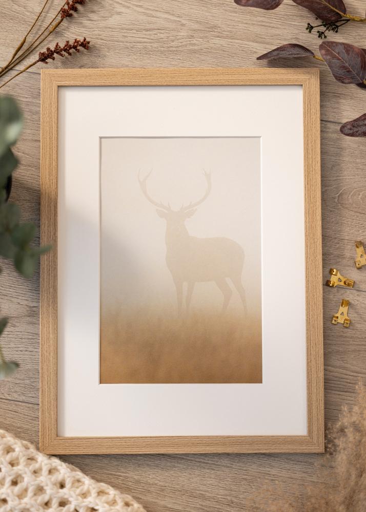 Okvir Deco Akrilno steklo Hrast 29.7x42 cm (A3)