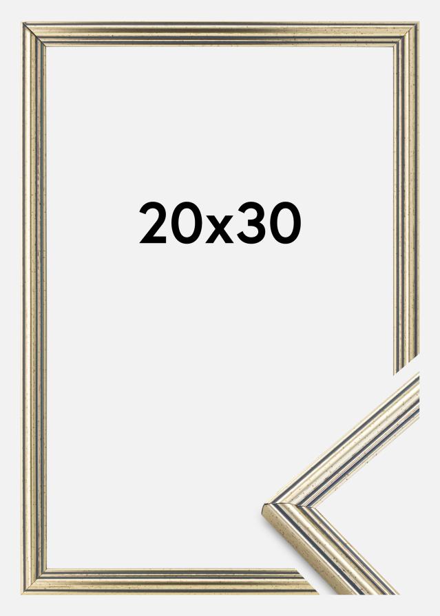 Okvir Classic Srebrna 20x30 cm