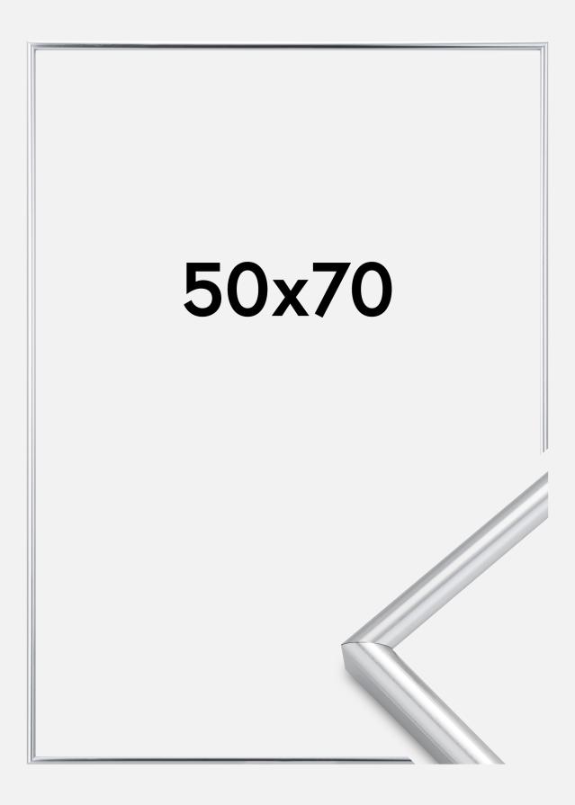 Okvir Galeria Srebrna 50x70 cm