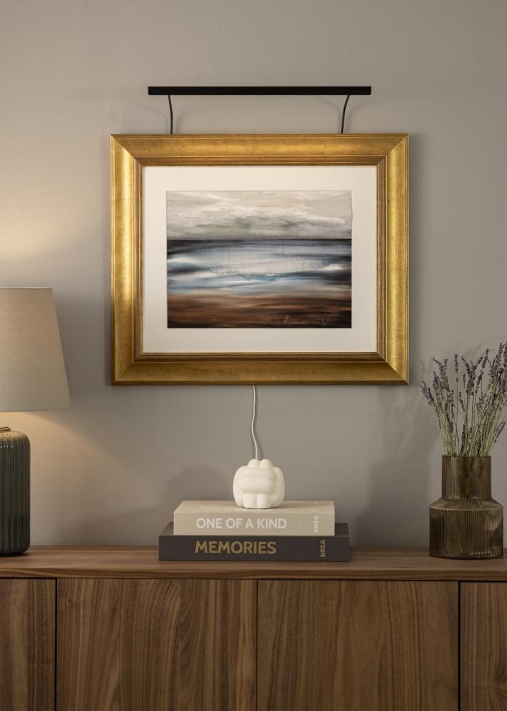 BLP 117 Osvetljava za slike 45 cm - Črna