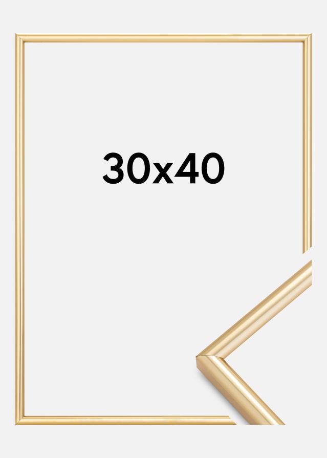 Okvir Galeria Zlata 30x40 cm