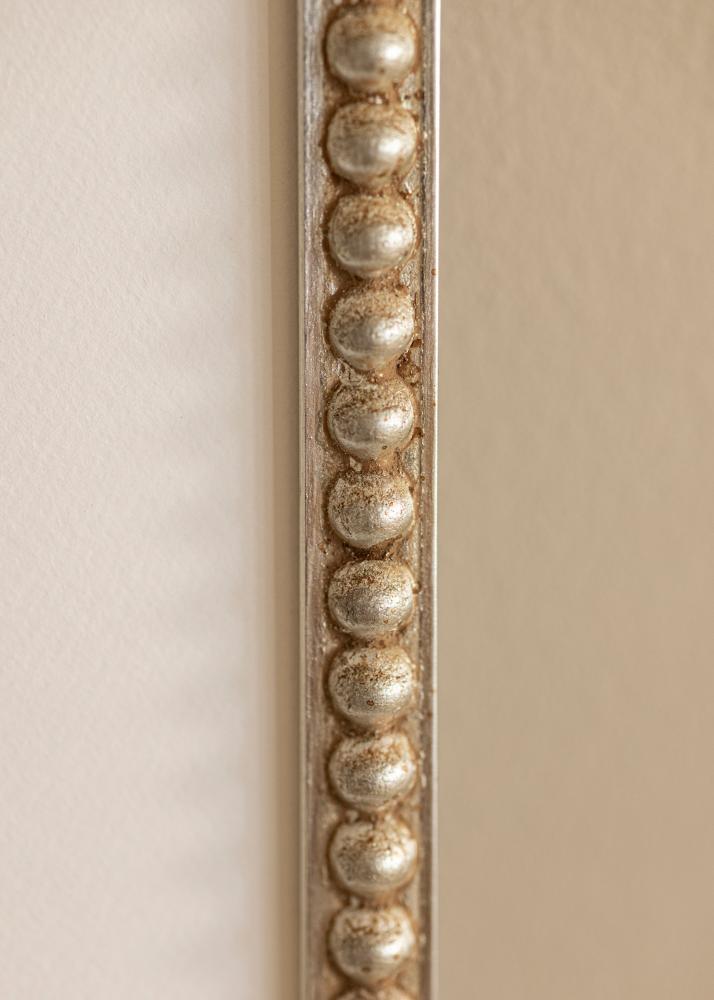 Okvir Sylvia Srebrna - Poljubna velikost