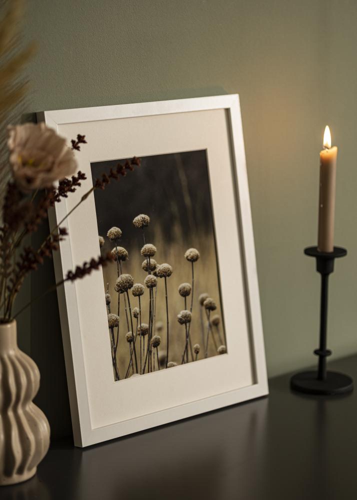 Okvir Selection Akrilno steklo Bela 59,4x84,1 cm (A1)