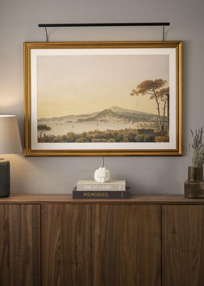 BLP 117 Osvetljava za slike 85 cm - Črna