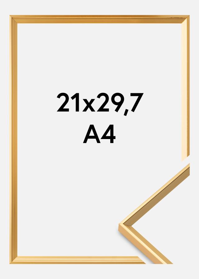 Okvir Desire Zlata 21x29,7 cm (A4)