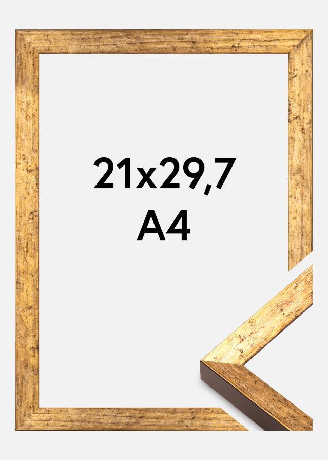 Okvir Dune Akrylglas Zlata 21x29,7 cm (A4)