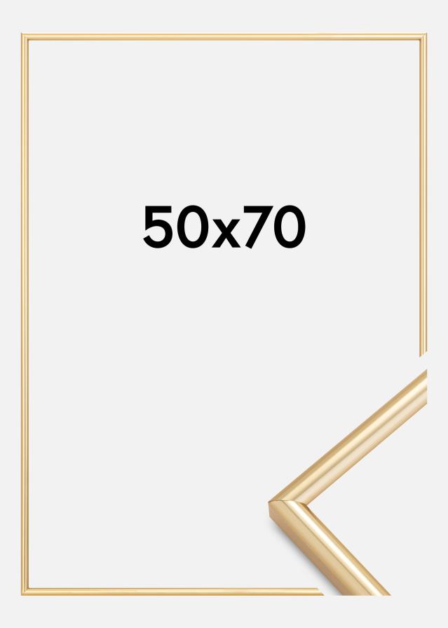 Okvir Galeria Zlata 50x70 cm