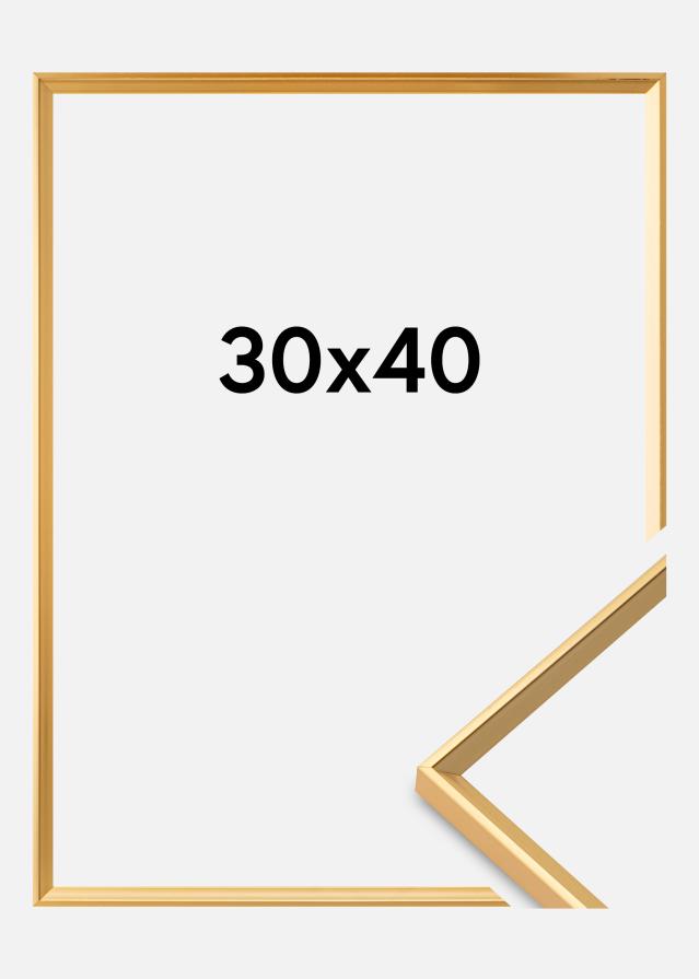 Okvir Desire Akrilno steklo Zlata 30x40 cm