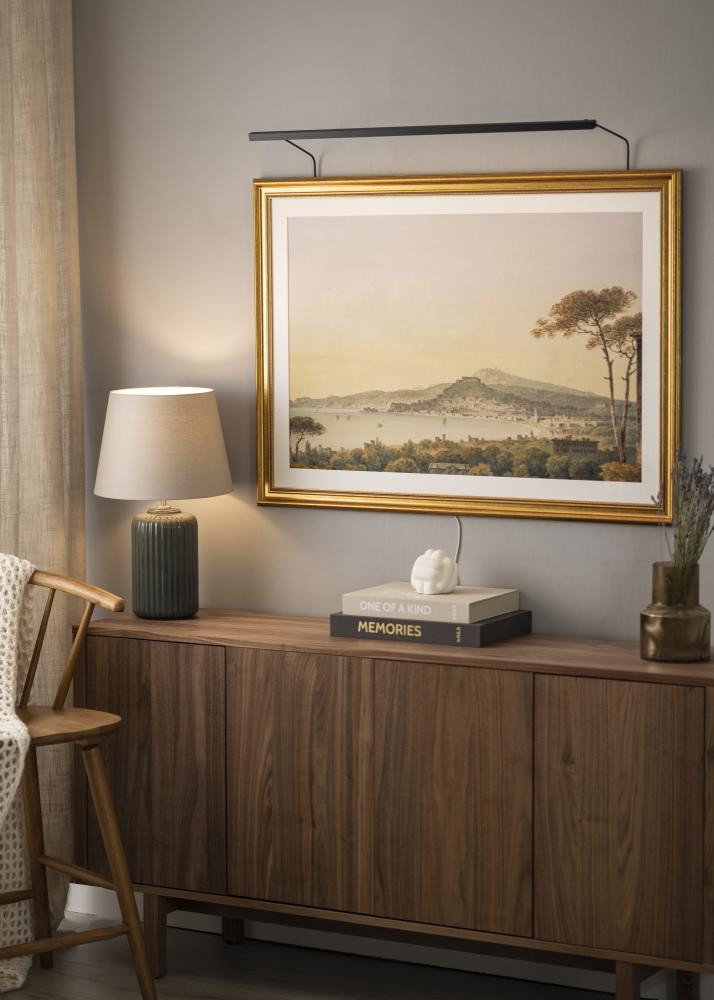 BLP 117 Osvetljava za slike 85 cm - Črna