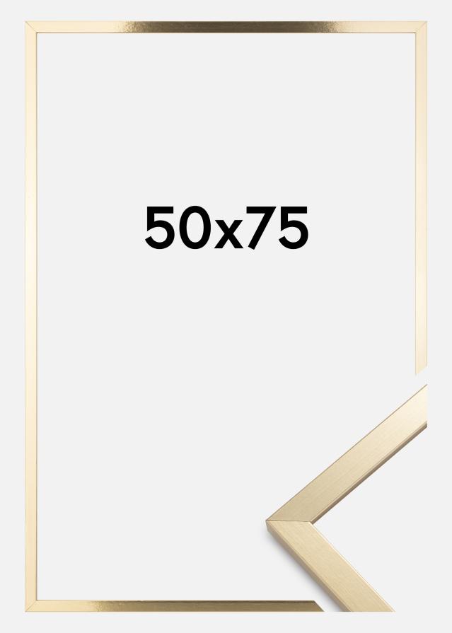 Okvir Trendy Akrilno Steklo Zlata 50x75 cm